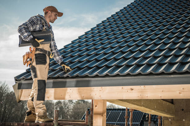 Best Roof Maintenance and Cleaning  in Holly, MI